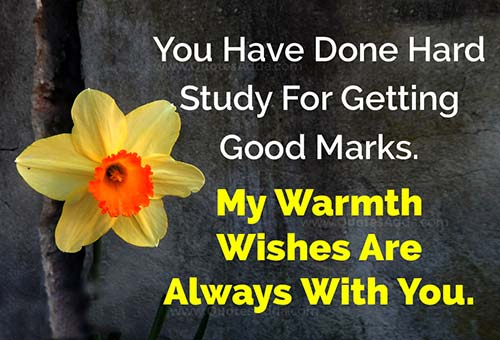 160B56C9-0624-4101-4006-E79F2ACC47CB.jpg