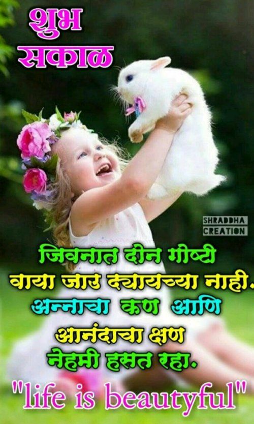 9C1BF727-3DB7-6F2B-F9D5-FC887E91B3B5.png
