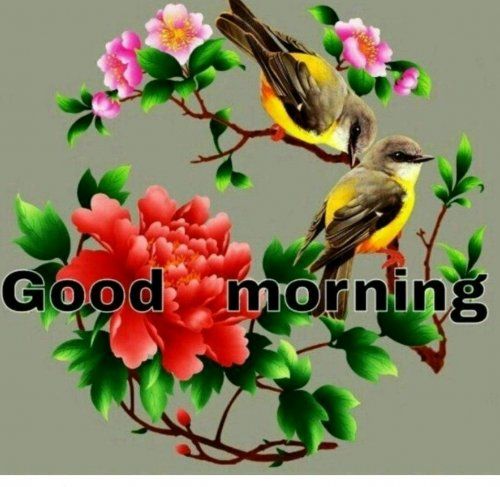 D9405EF5-8D41-5322-88C0-5EF3FB671A33.png